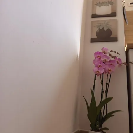 Riflessi Nostrani - Seaside Appartement *
