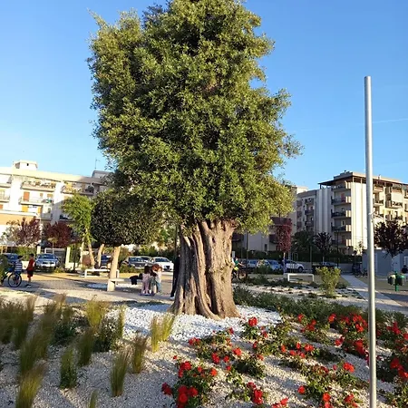 Riflessi Nostrani - Seaside *