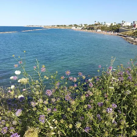 Apartment Riflessi Nostrani - Seaside Trani